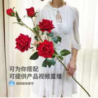 uploads/erp/collection/images/Home Garden/CongDing/XU0612502/img_b/XU0612502_img_b_4